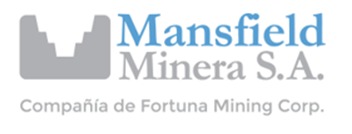 Logo Mansfield Argentina